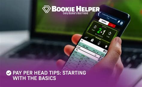 pay per head tips|Pay Per Head Tips: Starting with the basics .